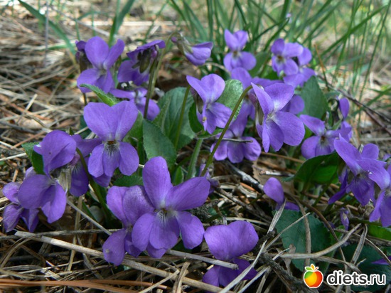 16 ����: ����� � �������