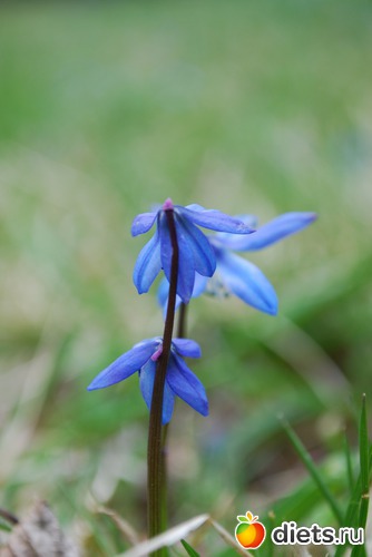 17 ����: ����� � �������