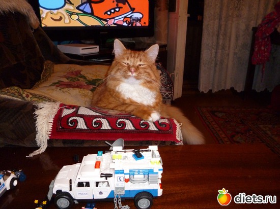 8 ����: �����(��� ����)