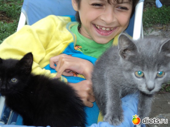 3 ����: ��� ����))