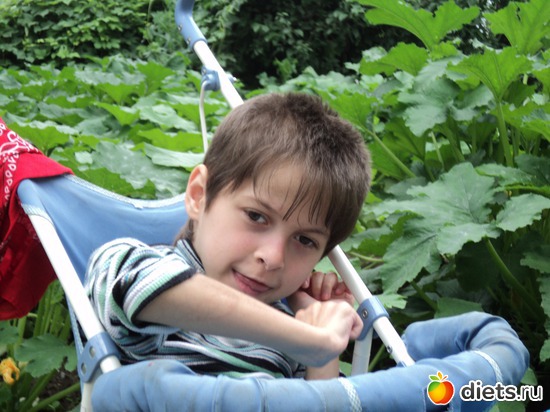 5 ����: ��� ����))