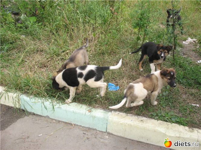 ��������. �������-�������� �������� � ������ ������� ���� :), ������: ����