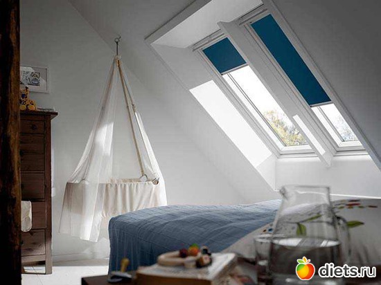 55 ����: �������