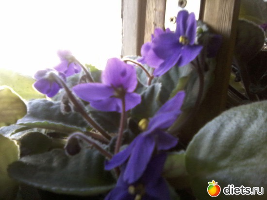 4 ����: ����� � ���� ����.