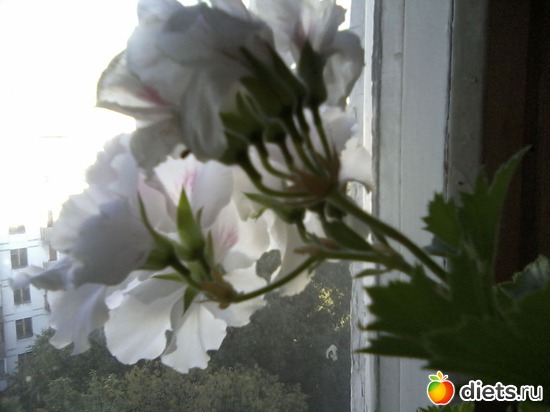 5 ����: ����� � ���� ����.