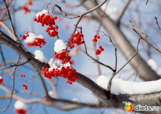 61 ����: ����...