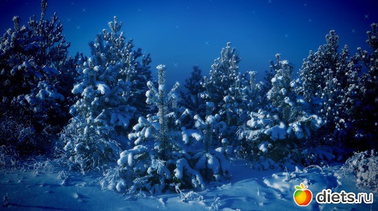 65 ����: ����...