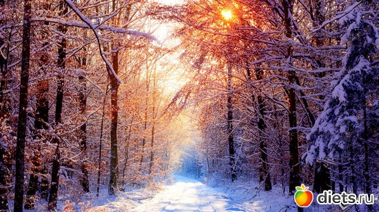 66 ����: ����...