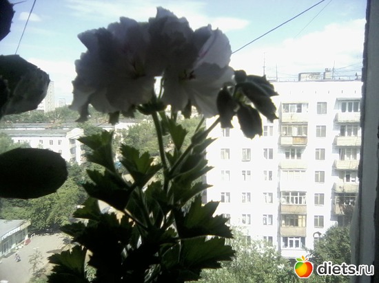 6 ����: ����� � ���� ����.