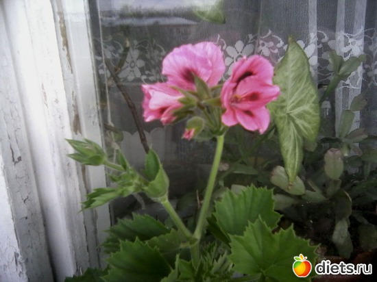 7 ����: ����� � ���� ����.