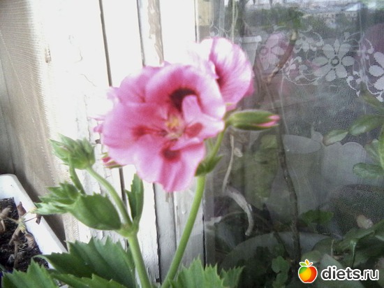 8 ����: ����� � ���� ����.