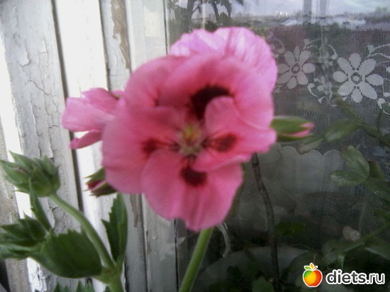 9 ����: ����� � ���� ����.