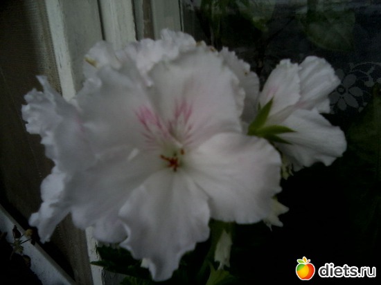 10 ����: ����� � ���� ����.