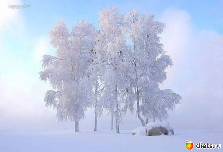 72 ����: ����...