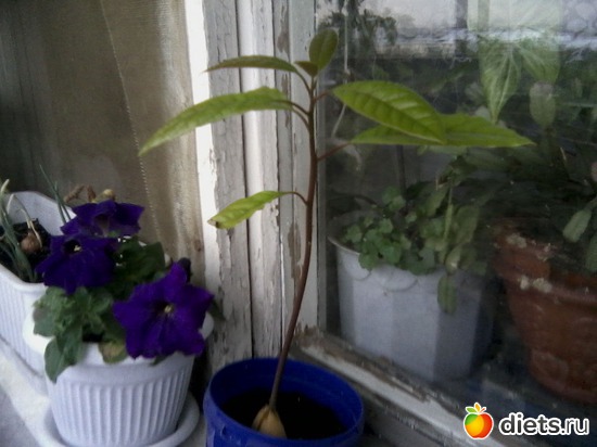 11 ����: ����� � ���� ����.