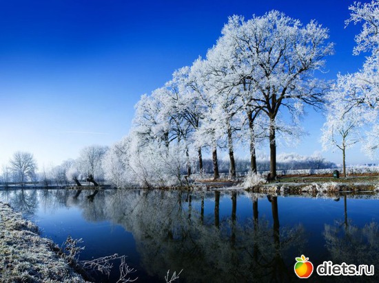 77 ����: ����...