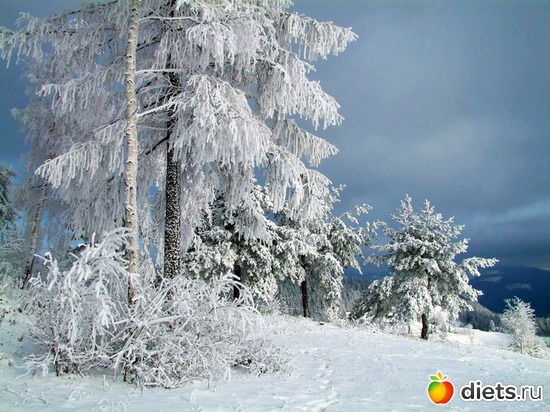 81 ����: ����...