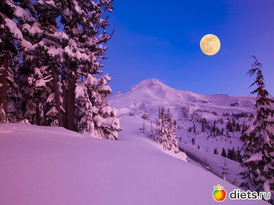 82 ����: ����...