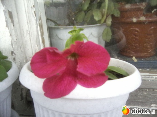 13 ����: ����� � ���� ����.