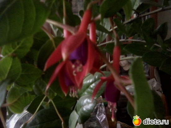 14 ����: ����� � ���� ����.