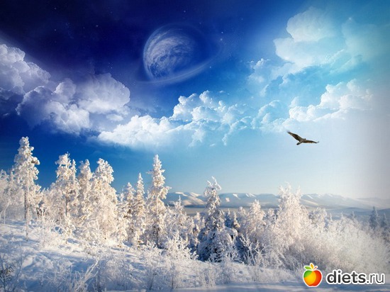 85 ����: ����...