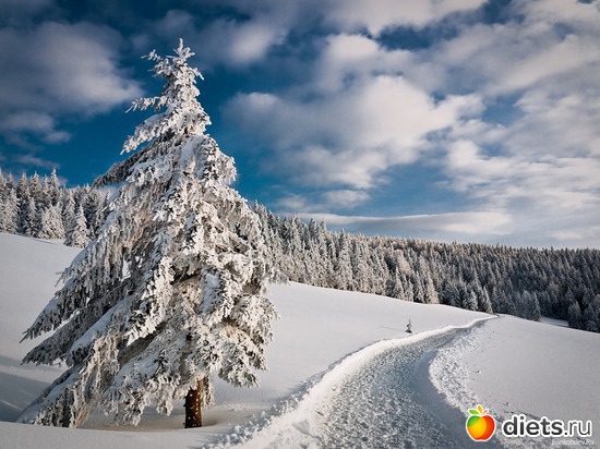 88 ����: ����...