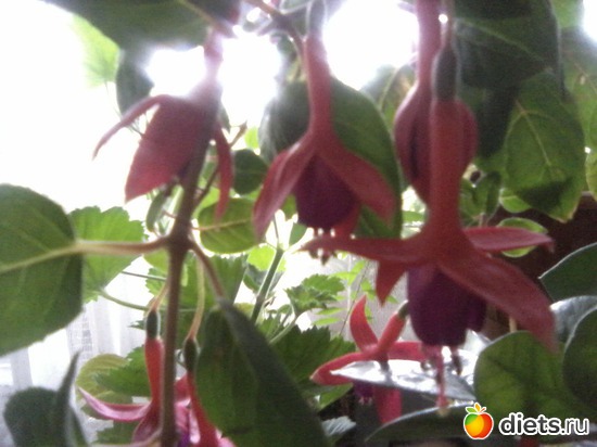 15 ����: ����� � ���� ����.