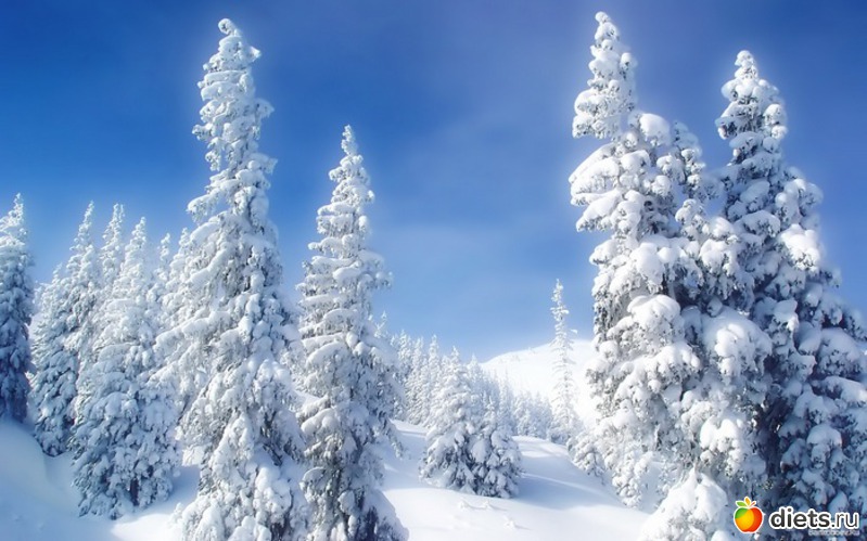 89 ����: ����...