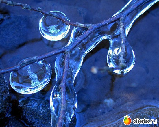 91 ����: ����...