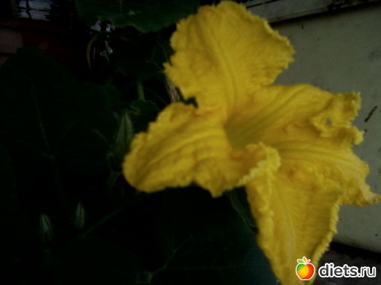 16 ����: ����� � ���� ����.