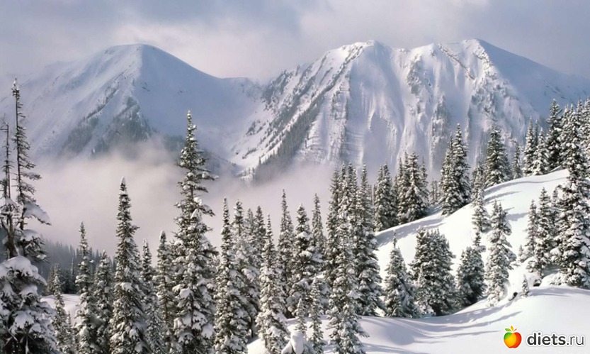 94 ����: ����...