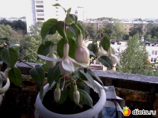 18 ����: ����� � ���� ����.