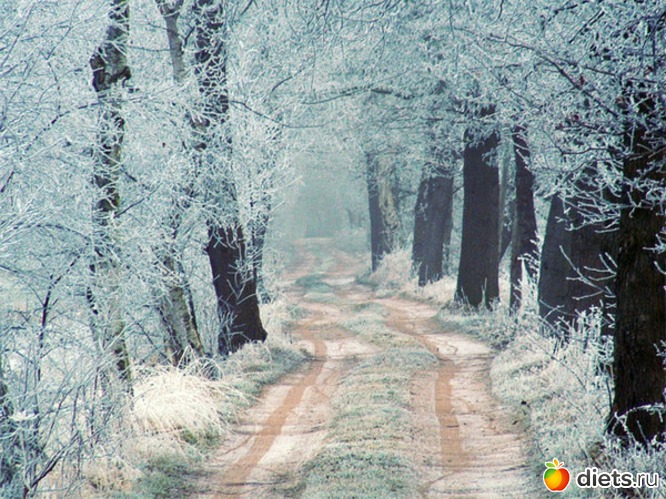 100 ����: ����...