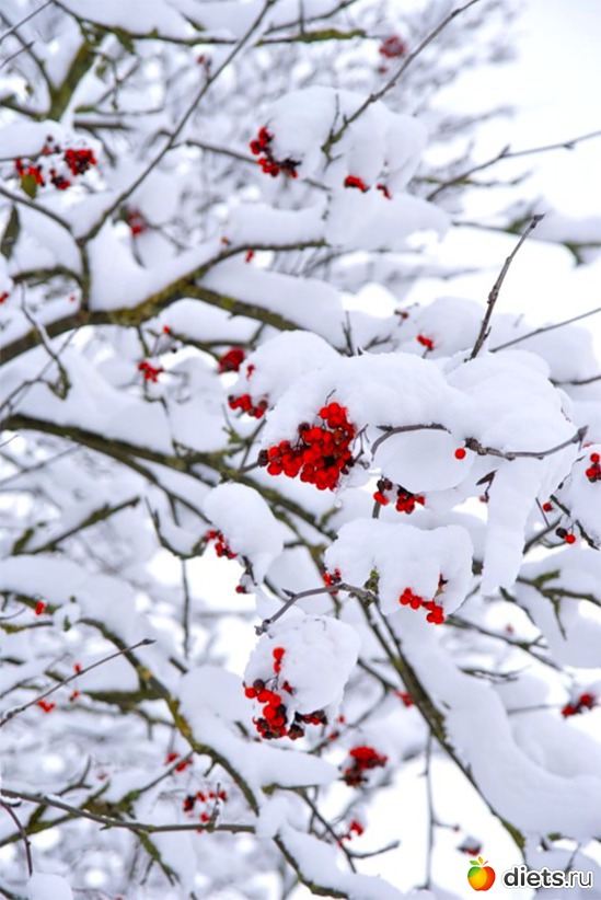 101 ����: ����...