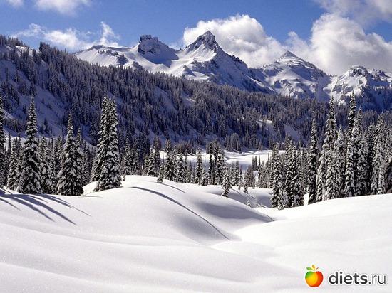 104 ����: ����...