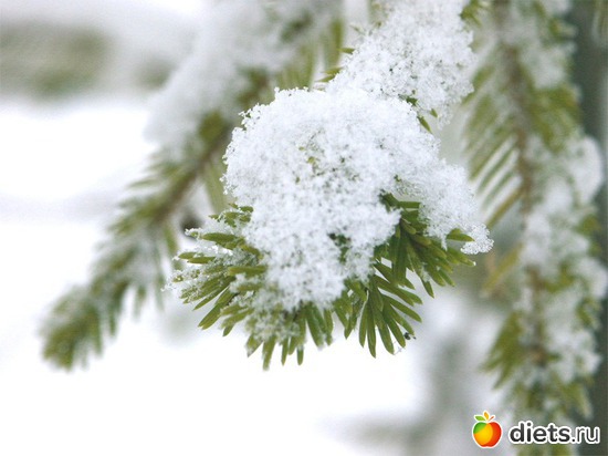 105 ����: ����...