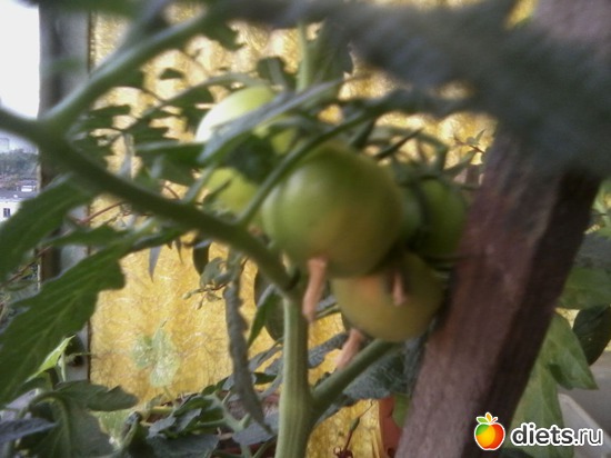 19 ����: ����� � ���� ����.