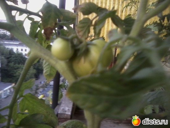 20 ����: ����� � ���� ����.