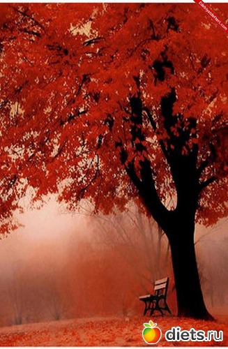 75 ����: �����...