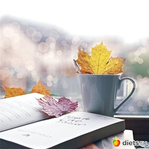 76 ����: �����...