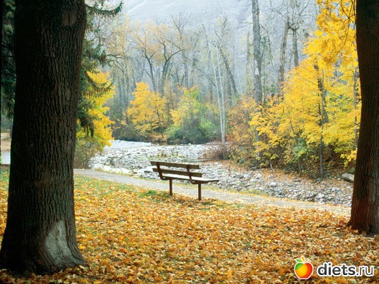 78 ����: �����...