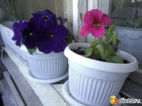 21 ����: ����� � ���� ����.