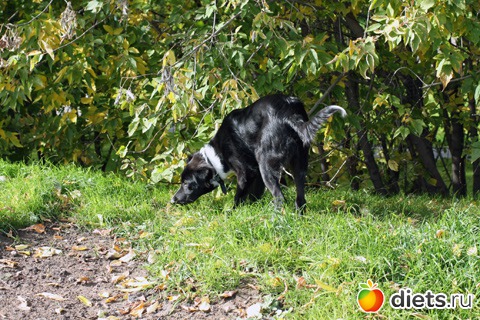 ��������� ��� ��������