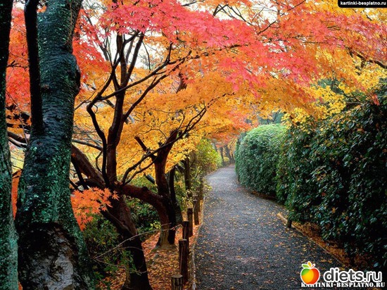 79 ����: �����...