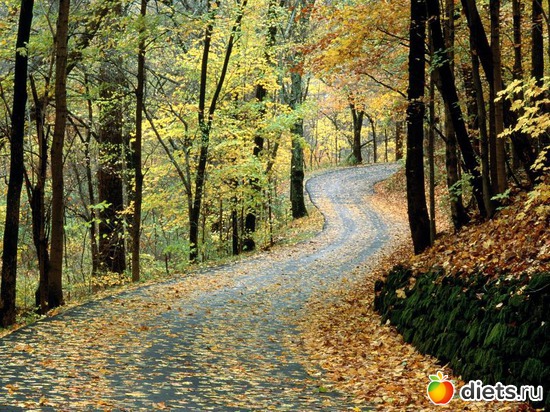 80 ����: �����...