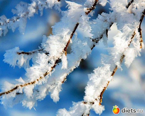 106 ����: ����...