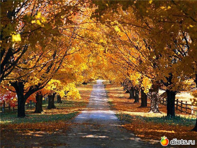 87 ����: �����...