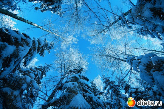 107 ����: ����...