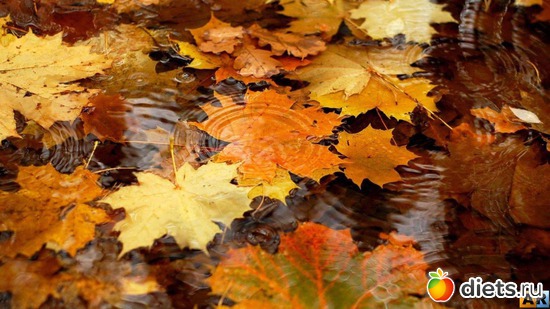 89 ����: �����...