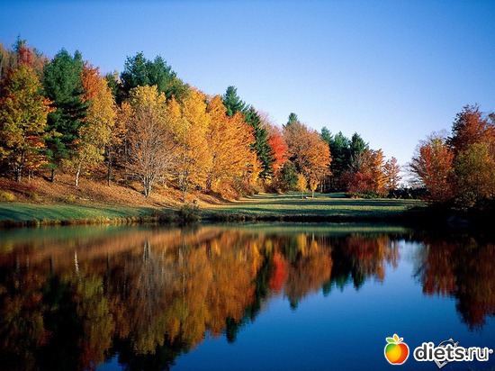 90 ����: �����...